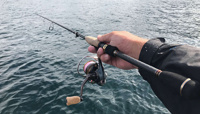 Spinning dlya tvichinga