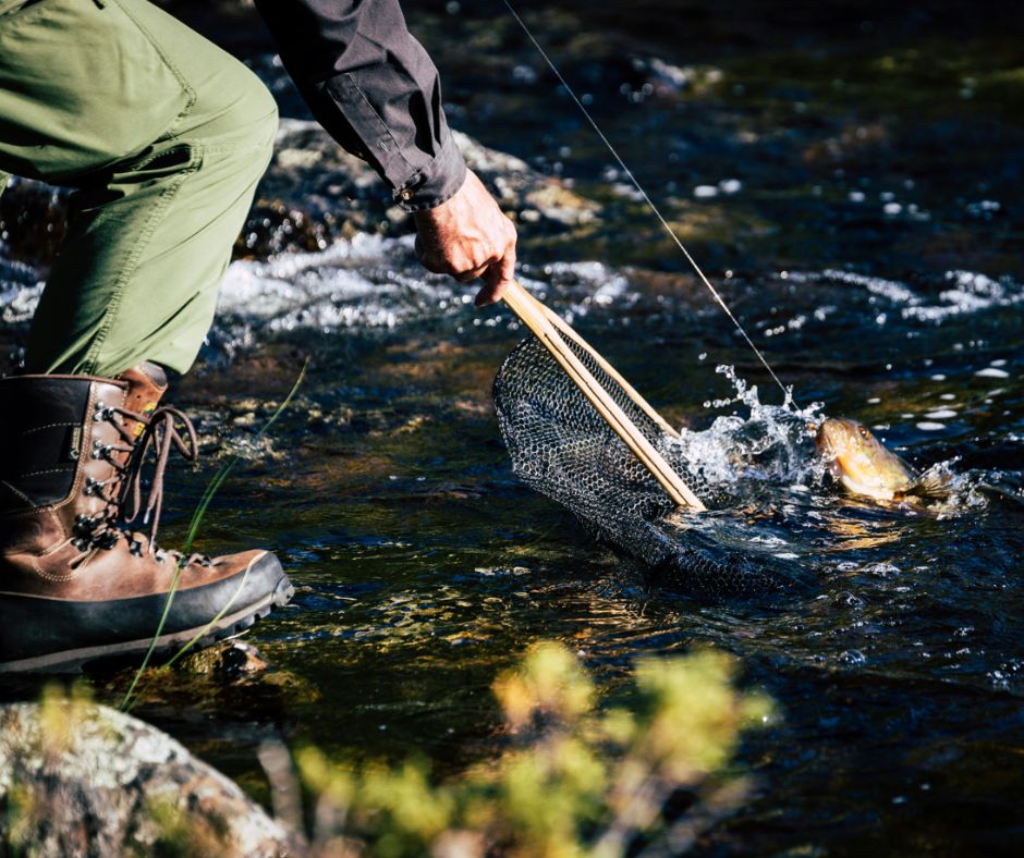 Дизайн без назви