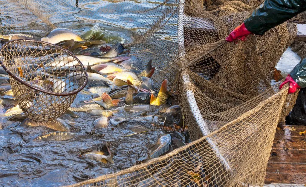 1719427237 4894 large