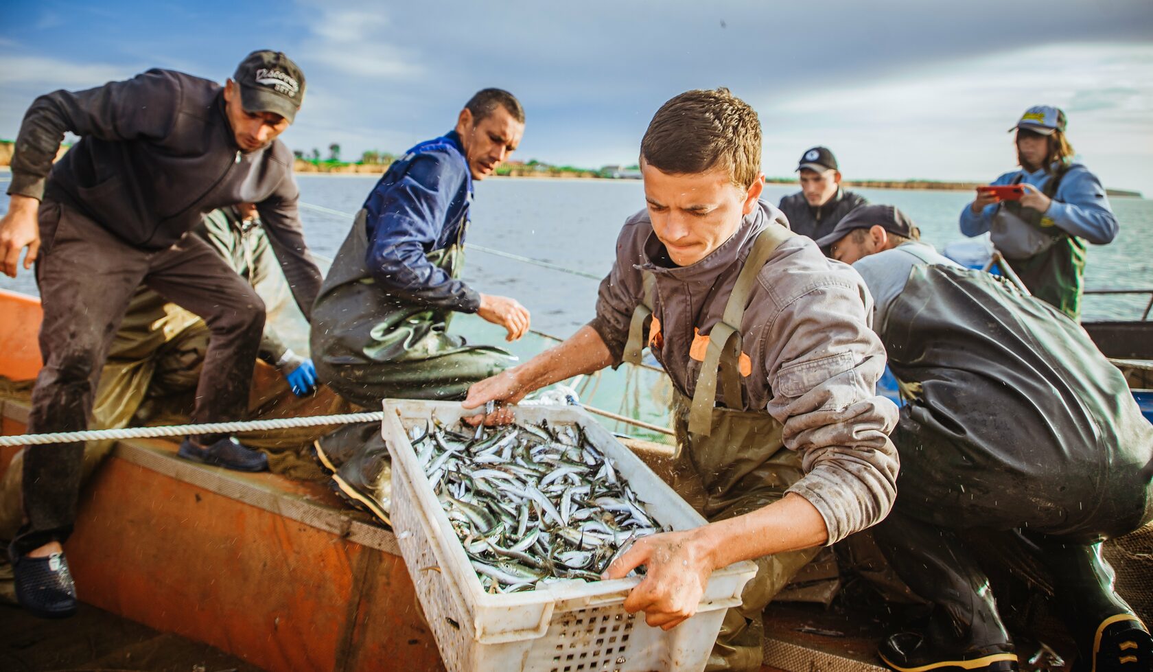 tild3666 6163 4338 b331 613030636666 dsc03333