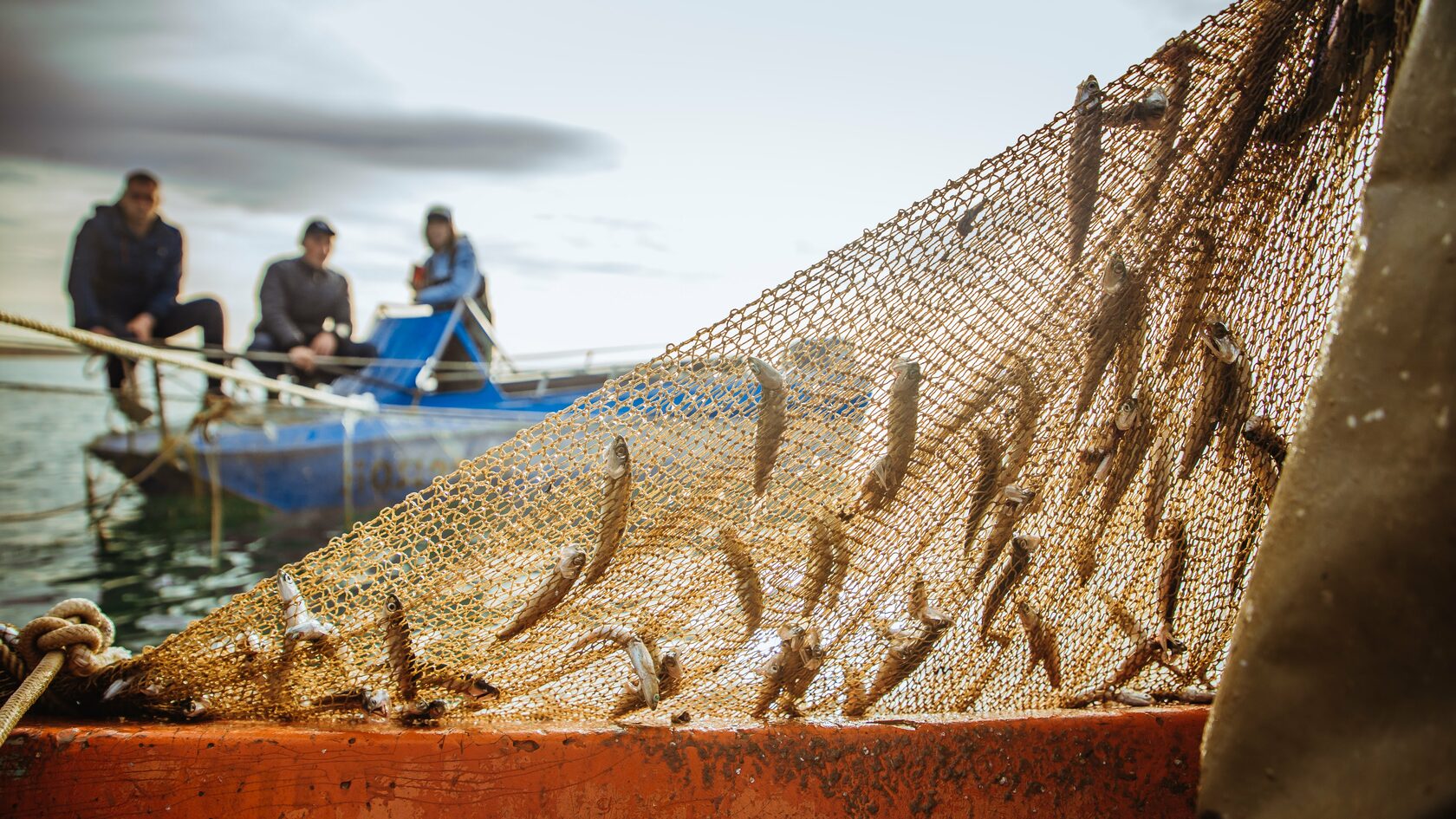 tild6262 3138 4565 a162 623062356535 dsc03242