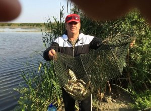 Риболовля на базі відпочинку «На Дунаї»