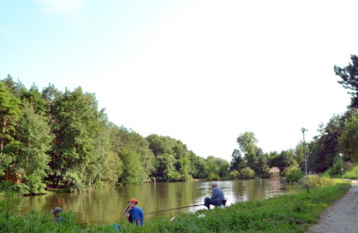 Риболовля на базі відпочинку «Абрикос» 