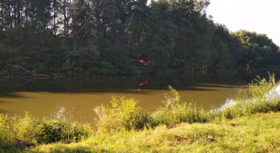 Риболовля на базі відпочинку «Абрикос» 