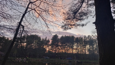 Риболовля на базі відпочинку «Абрикос» 