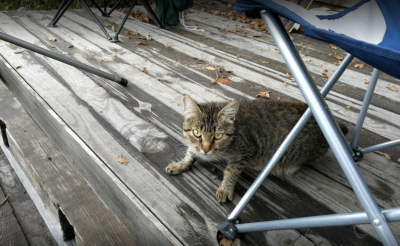 База отдыха 