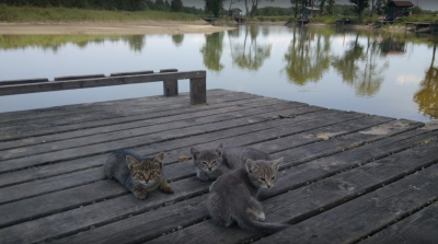 База отдыха 