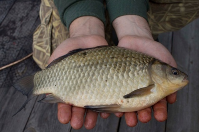 База отдыха 