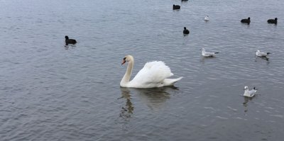 Рыбалка на Бурштынском водохранилище