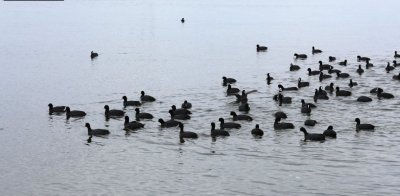 Рыбалка на Бурштынском водохранилище