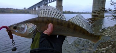 Рыбалка на базе отдыха «Горизонт»