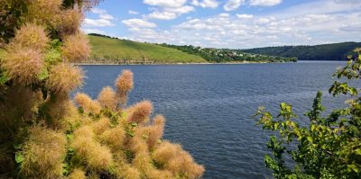 Рыбалка на базе отдыха «Горизонт»