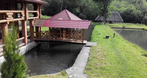 Форелеве господарство Ждимир