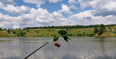 Урочище Вишенки