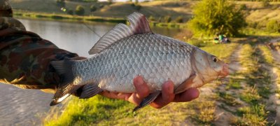 Урочище Вишенки