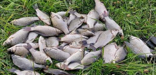 Урочище Вишенки