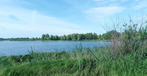 Ловля на платному ставку у селі Шепель 