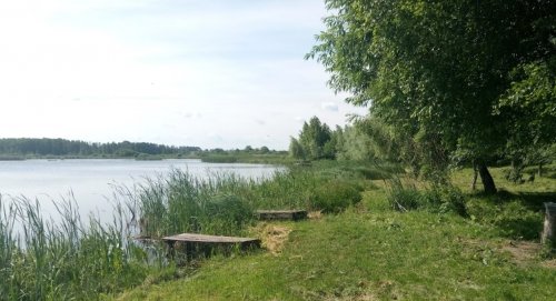 Ловля на платному ставку у селі Шепель 