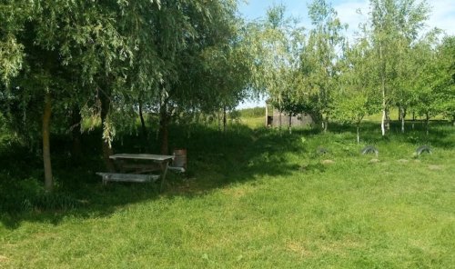 Ловля на платному ставку у селі Шепель 