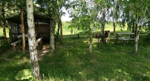 Ловля на платному ставку у селі Шепель 