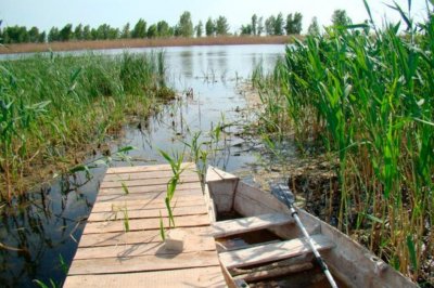 Риболовля на озері «Джулайка» в Черкаській області