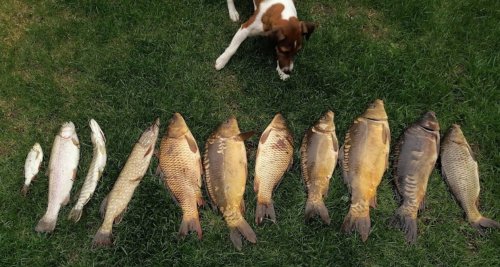 Рыбалка на Озере Михайлына в Киевской области
