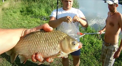 Озеро поселка Липовец в Киевской области