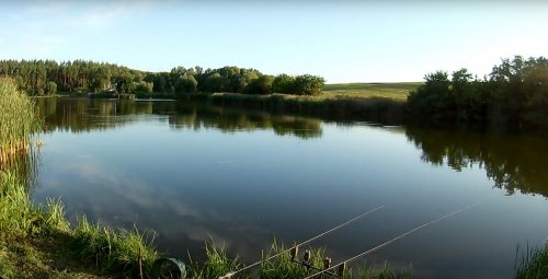 Озеро поселка Липовец в Киевской области