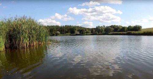 Озеро поселка Липовец в Киевской области
