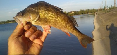 Рыбное хозяйство Барабой - рыбалка в Одесской области