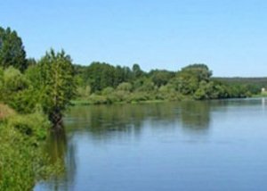 Платна рибалка на водоймищі с. Крилівка Житомирської області