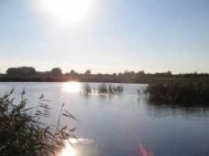 Платна рибалка на водоймищі с. Крилівка Житомирської області