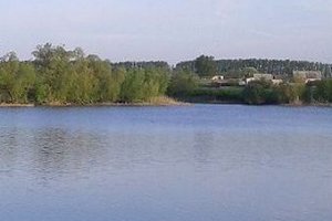 Платна рибалка на водоймищі с. Крилівка Житомирської області