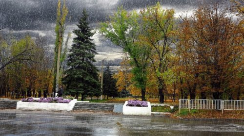 Ставок с. Новогурівка 