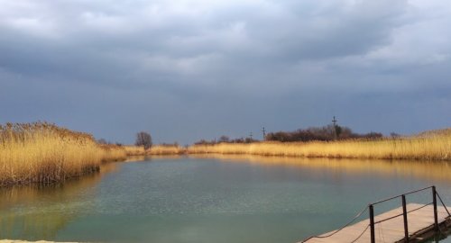 Ставок с. Новогурівка 