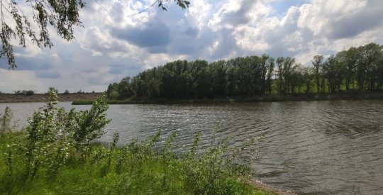 Ставок с. Новогурівка 