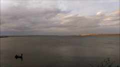 Рыбалка на Чайке возле с. Алтестово на Хаджибейском лимане в Одесской области