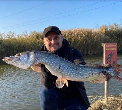 Рыбалка на Дашкиных прудах