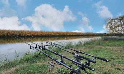 Рыбалка на Дашкиных прудах