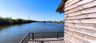 Рыбалка на Дашкиных прудах