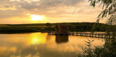 Рыбалка на Дашкиных прудах