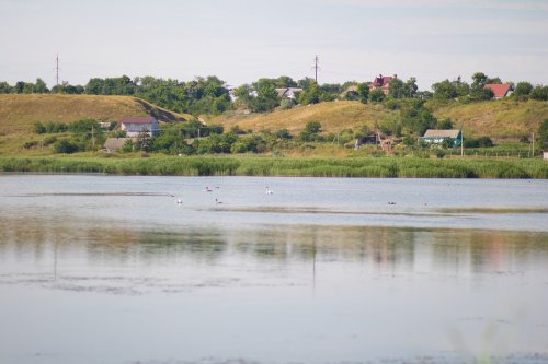 Рыбалка на Дедовом болоте 