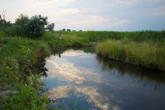 РыбРыбалка на Дедовом болоте 
