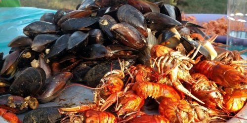 Рыбалка на Базе отдыха «Добрый хутор»