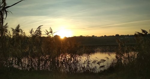 Рыбалка на Базе отдыха «Добрый хутор»