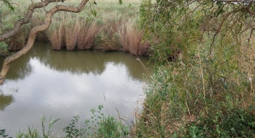 Рыбалка на Базе отдыха «Добрый хутор»