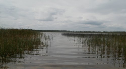 Рибалка на озері у заповіднику 