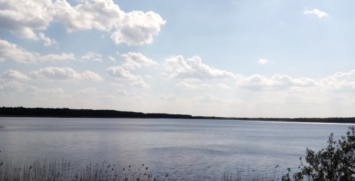 Рибалка на озері у заповіднику «Лісове затишшя» у Волинській області