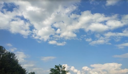 Рыбалка на пруду в с. Комаровка Черкасской области