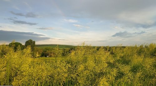 Рыбалка на пруду в с. Комаровка Черкасской области